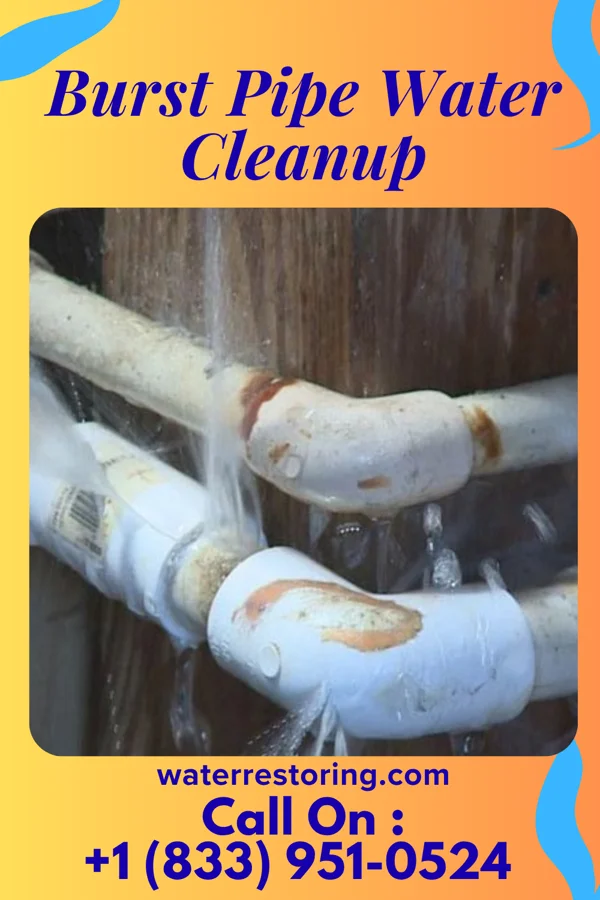 Burst Pipe Water Cleanup in Jackson, TN