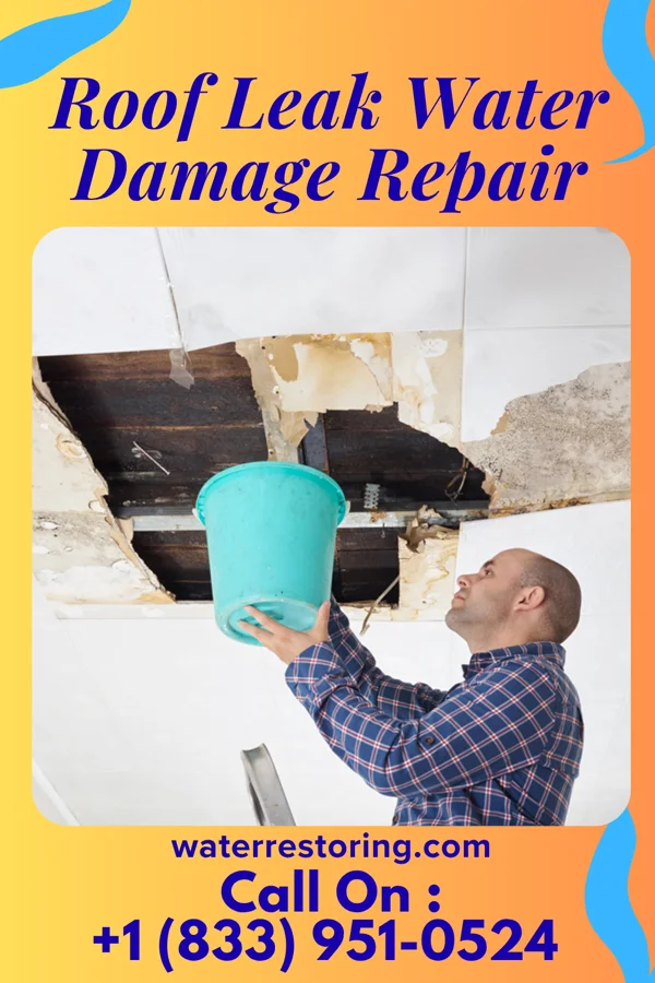 Roof Leak Water Damage Repair in Jackson, TN