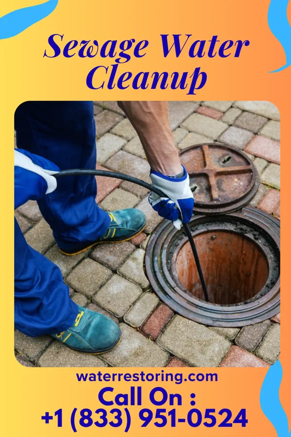 Sewage Water Cleanup in Jackson, TN